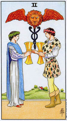 card5